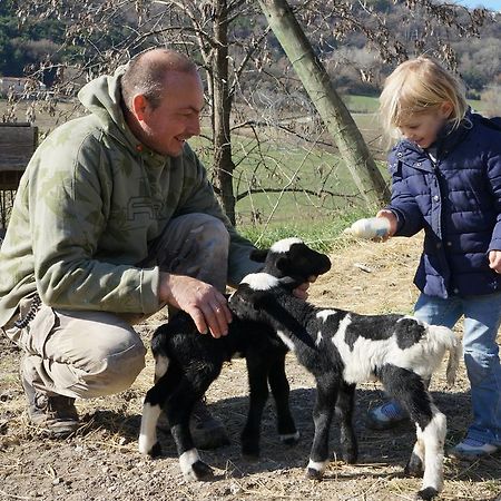 Domaine Du Bas Chalus Villa Forcalquier Eksteriør bilde