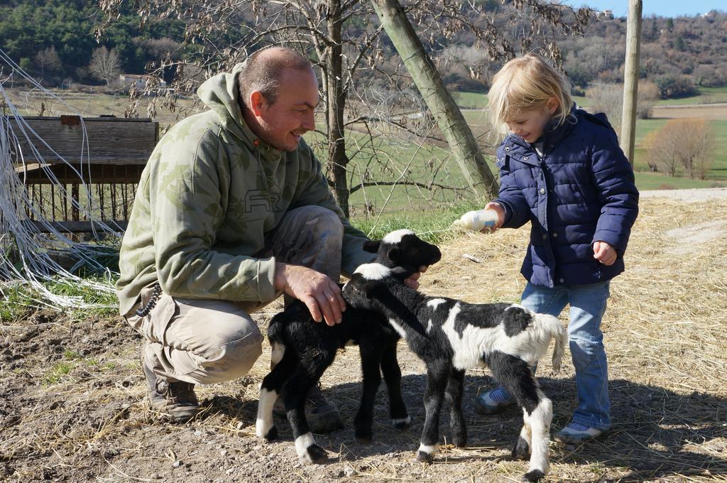Domaine Du Bas Chalus Villa Forcalquier Eksteriør bilde